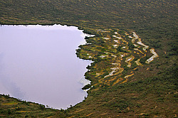 ������������ ����������, ��������������. �����  ������������, ��������������� �������� ����� �����