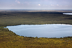 ������������ ����������, ��������������. �����  ���������