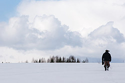 ������ ����������� � ����������� ������������ ���, ������