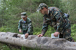 ������ ����������� � ����������� ������������ ���, ������