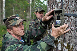 ������ ����������� � ����������� ������������ ���, ������