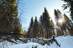 ���������� ������� ������� ����, �� �������������� ����������� ��������, ���������� ������������ ���, ������