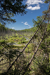 ���������� ������� ������� ����, �� �������������� ����������� ��������, ���������� ������������ ���, ������