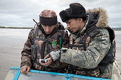 ������ ����������� �����������, ������������� ����������, ������