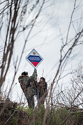 ������ ����������� �����������, ������������� ����������, ������