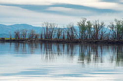 ����� ���� ����� ��� �������� � ����, ������������� ����������, ������