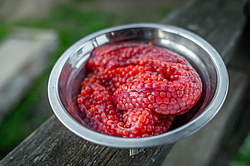 �������� ���� �� ����� - ������� ����, ������������� ����������, ������