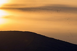 ������ ����� ��� ������, ������������� ����������, ������