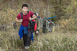 ������ ����������� �����������, ������������� ����������, ������