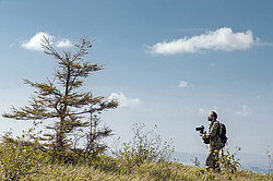 ������ ����������� �����������, ������������� ����������, ������