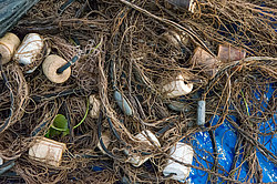 ������ ����������� �����������, ����������� ������������� �����, ������������� ����������, ������