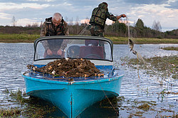 ������ ����������� �����������, ����������� ������������� �����, ������������� ����������, ������