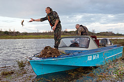 ������ ����������� �����������, ����������� ������������� �����, ������������� ����������, ������