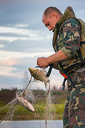 ������ ����������� �����������, ����������� ������������� �����, ������������� ����������, ������