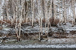 �������, �������� � ����� �����, ����������� ����, ������