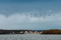 �������, �������� � ����� �����, ����������� ����, ������