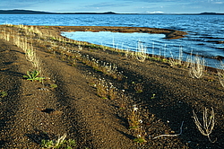 �������, �������� � ����� �����, ����������� ����, ������