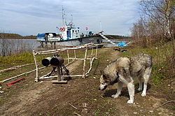 �������, �������� � ����� �����, ����������� ����, ������