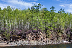 �������, �������� � ����� �����, ����������� ����, ������