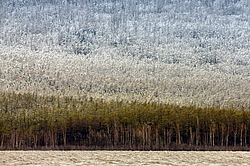 �������, �������� � ����� �����, ����������� ����, ������