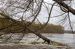 �������, �������� � ����� �����, ����������� ����, ������