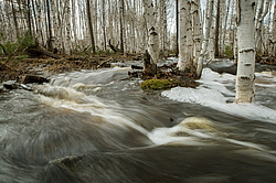 �������, �������� � ����� �����, ����������� ����, ������