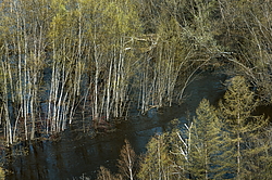 �������, �������� � ����� �����, ����������� ����, ������