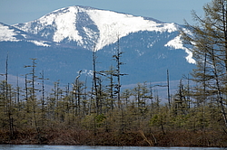 �������, �������� � ����� �����, ����������� ����, ������