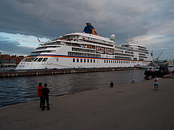 �����-���������