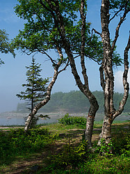 ������� ���������� ������, ������������ �����, �������