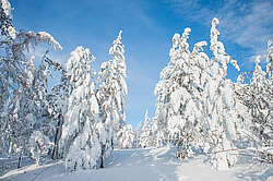 ������, ������������ �������, ���������� �����, ������ ������������, ���� �����