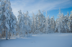 ������, ������������ �������, ���������� �����, ������ ������������, ���� �����