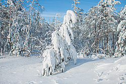 ������, ������������ �������, ���������� �����, ������ ������������, ���� �����