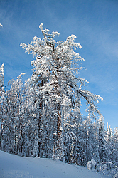 ������, ������������ �������, ���������� �����, ������ ������������, ���� �����