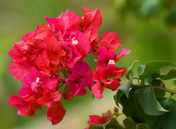 ����������� ����� � �������� ��������