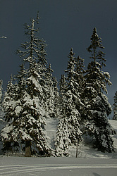 ������, ����������� ������