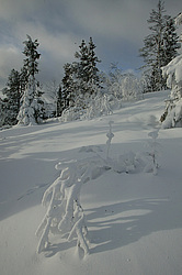 ������, ����������� ������