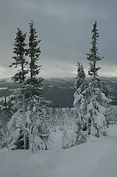 ������, ����������� ������