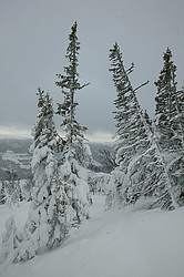 ������, ����������� ������