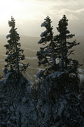 ������, ����������� ������