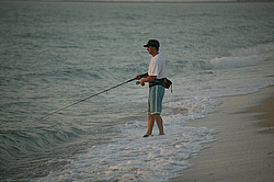 ��������� ����, ������, ���� �������, ���