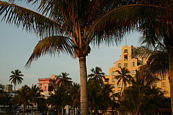 ��������� �����, ������, ���� �������, ���