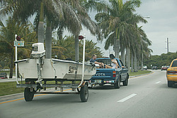 ��������� �����, ������, ���� �������, ���