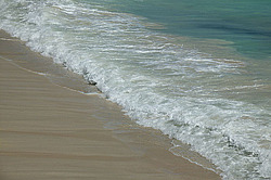 �������� � �������. ��������� <���������>