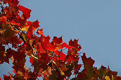 �������� � �������. ��������� <���������>