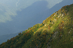 �������� � �������. ��������� <���������>