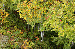 �������� � �������. ��������� <���������>