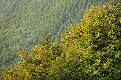 �������� � �������. ��������� <���������>