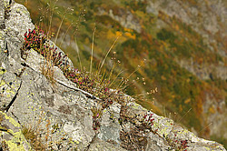 �������� � �������. ��������� <���������>