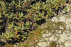 �������� � �������. ��������� <���������>